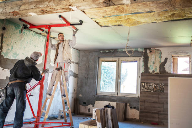 Best Insulation Removal Services  in Wixom, MI