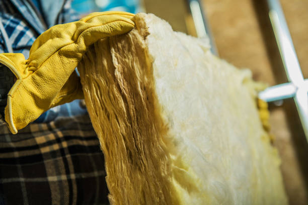 Best Cellulose Insulation  in Wixom, MI