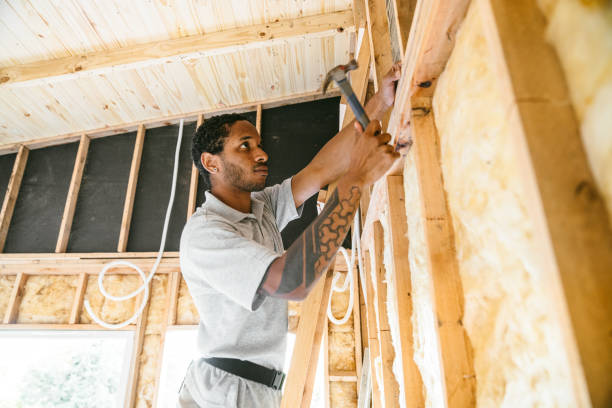 Best Spray Foam Insulation  in Wixom, MI