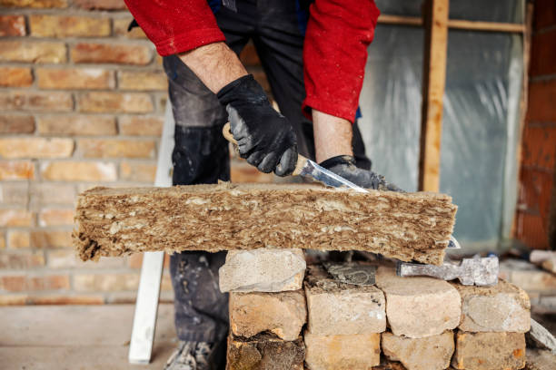 Best Local Insulation Services  in Wixom, MI