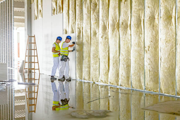 Best Blown-in Insulation  in Wixom, MI